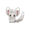 Minccino